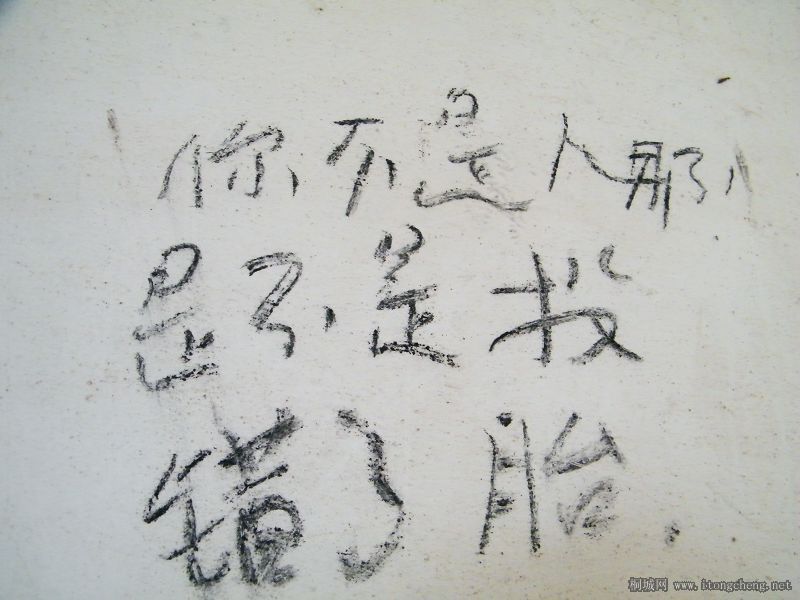 DSCF1761.jpg