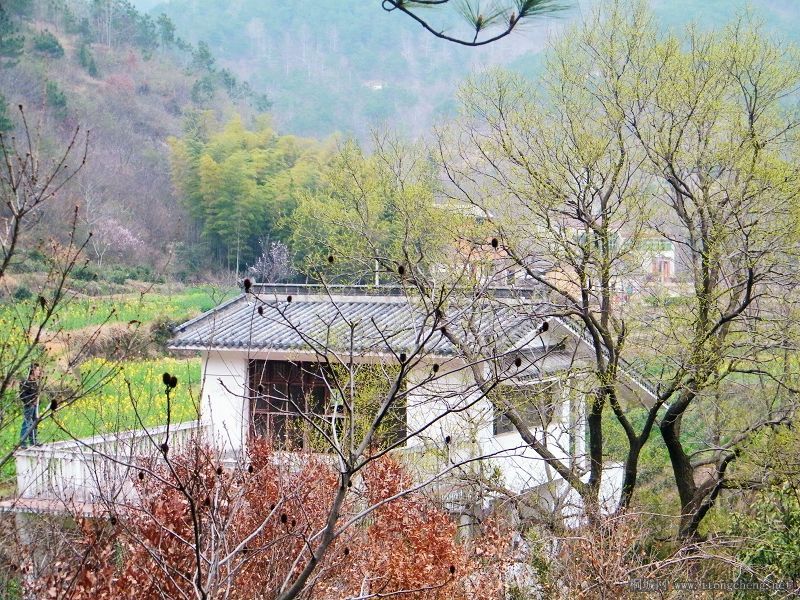 DSCF1749.jpg