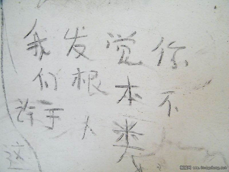 DSCF1762.jpg