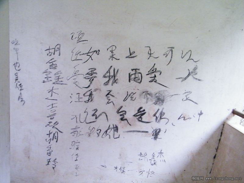 DSCF1752.jpg