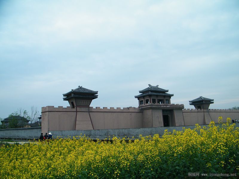 DSCF2571.jpg