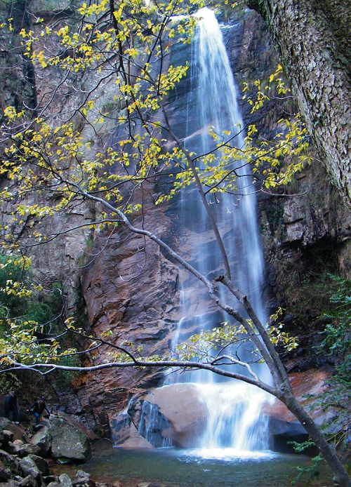 ������ٲ�