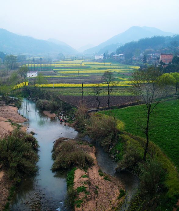 �ưش��Ÿ���