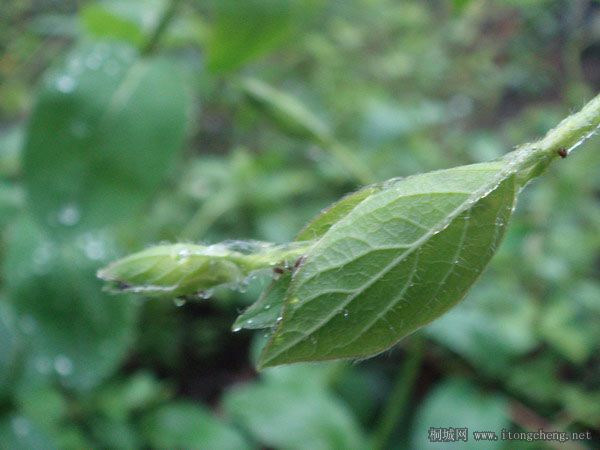 2DSC03714 ��������.jpg