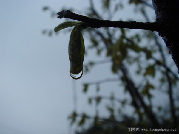 2DSC03729 ��������.jpg