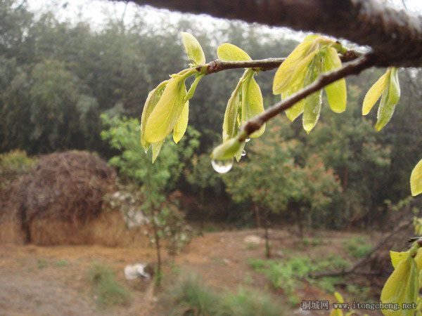 2DSC03713 ��������.jpg