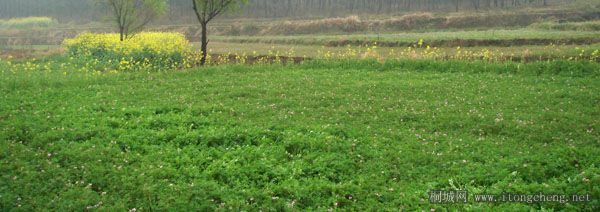 2DSC03683 ��������.jpg