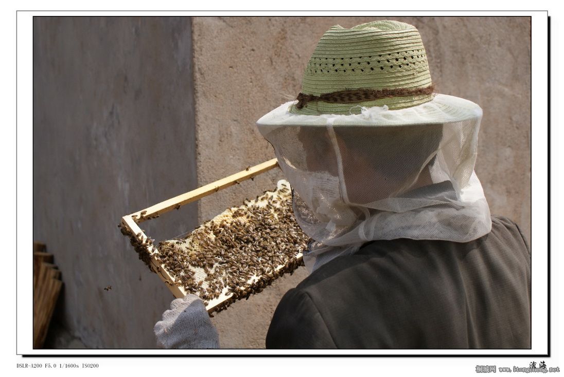 ��ɽ������