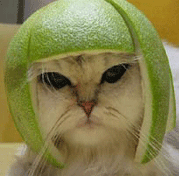 1223910457653.gif