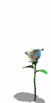õGIF,õGIFز,õGIFͼƬ_5.gif