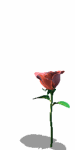 õGIF,õGIFز,õGIFͼƬ_7.gif