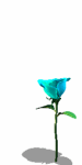 õGIF,õGIFز,õGIFͼƬ_9.gif