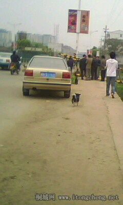IMG0028A.jpg