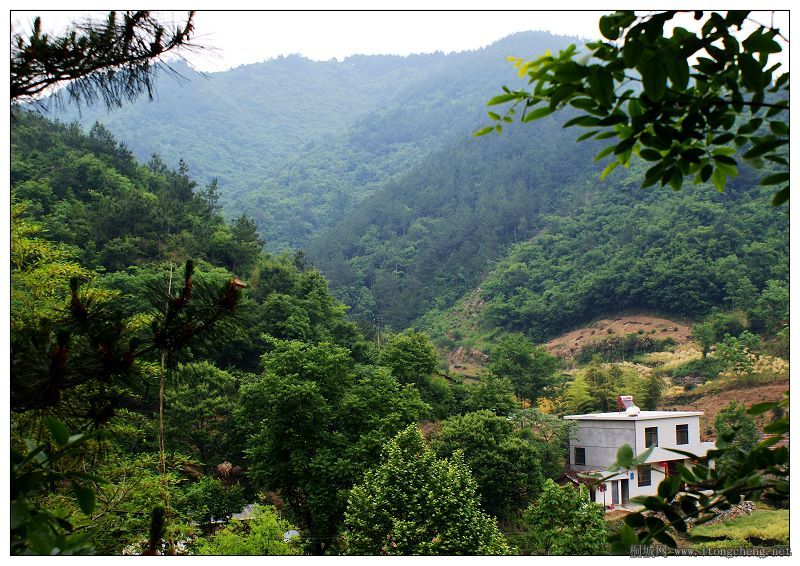 ���Ľ���ɽ���˼�~����ɽ���ȵ�Ҫ��Ҳû�ҵ��õĻ�λ~