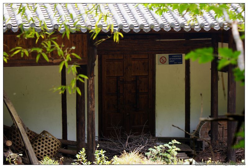 λ��˫Ϫ��·���ϵ���������~