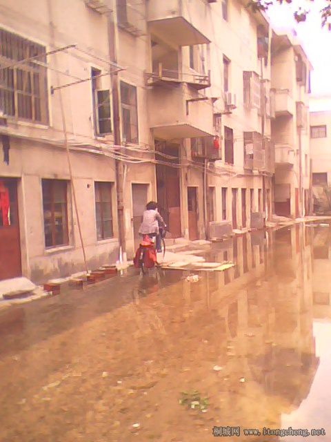 IMG0147A.jpg