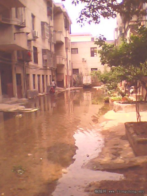 IMG0148A.jpg