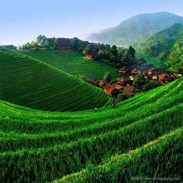 ��Ⱦ����