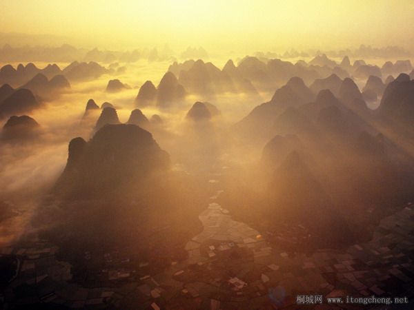 ���ƺ�ΰ׳��