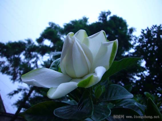 ����Ϯ��