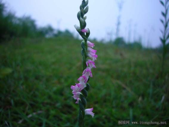 ���˹���