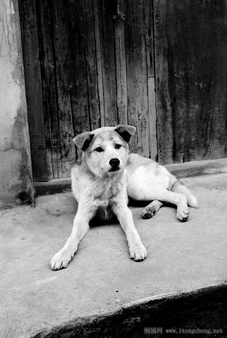 ������С ������С DSC03009.JPG