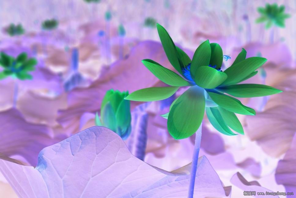 ������С ���� ���� DSC03945.JPG