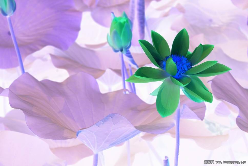 ������С ���� DSC03967.JPG