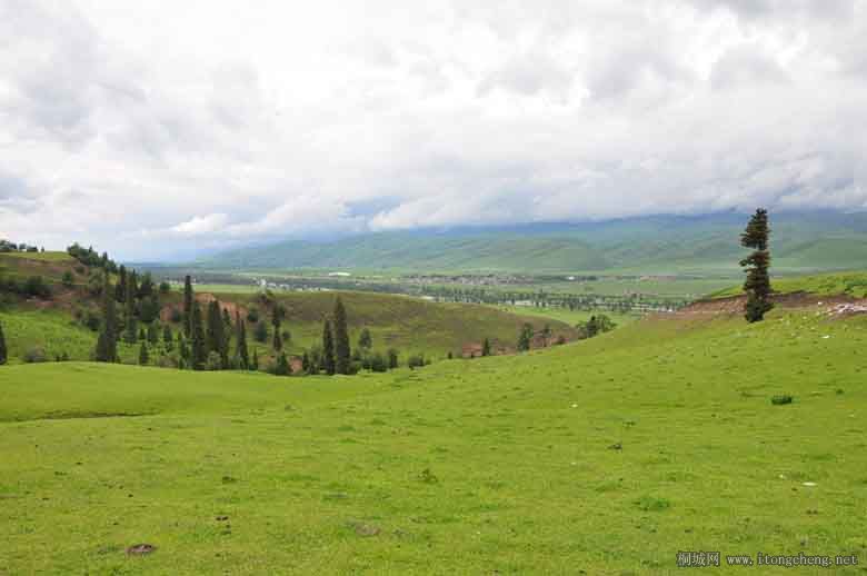 ɽ������