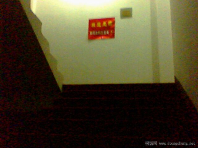IMG0074A.jpg