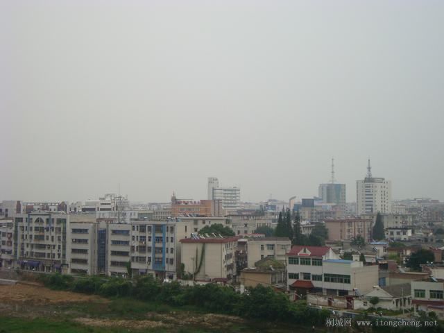 DSC01572.JPG