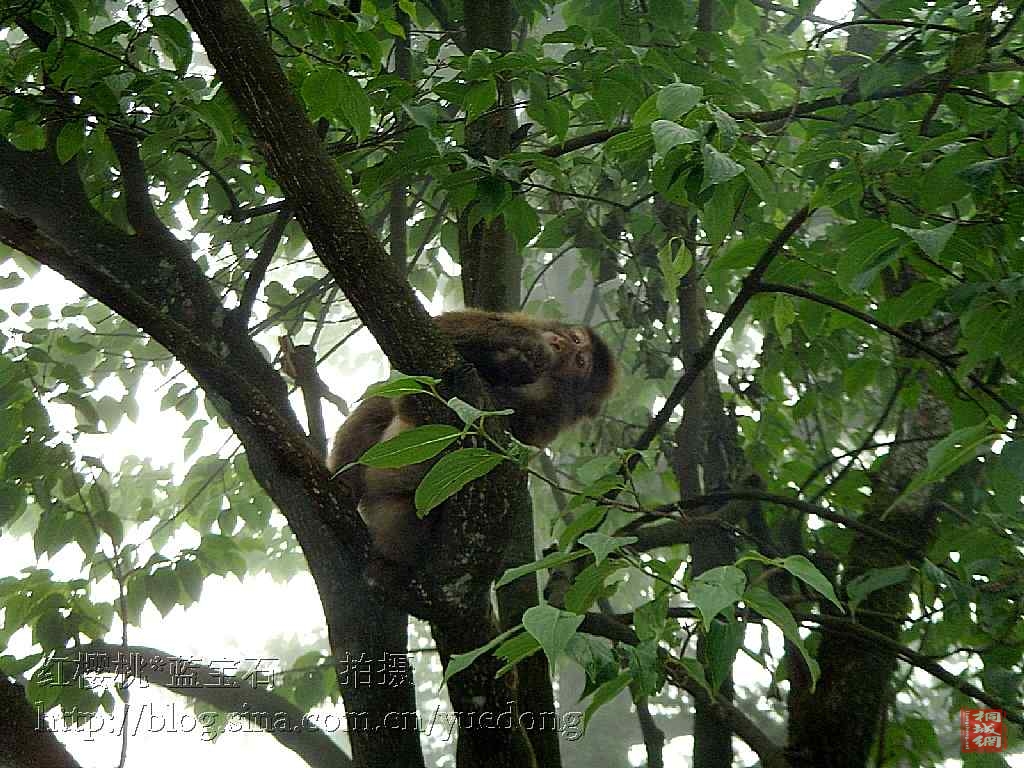 SNV36965-1-2 (1).jpg