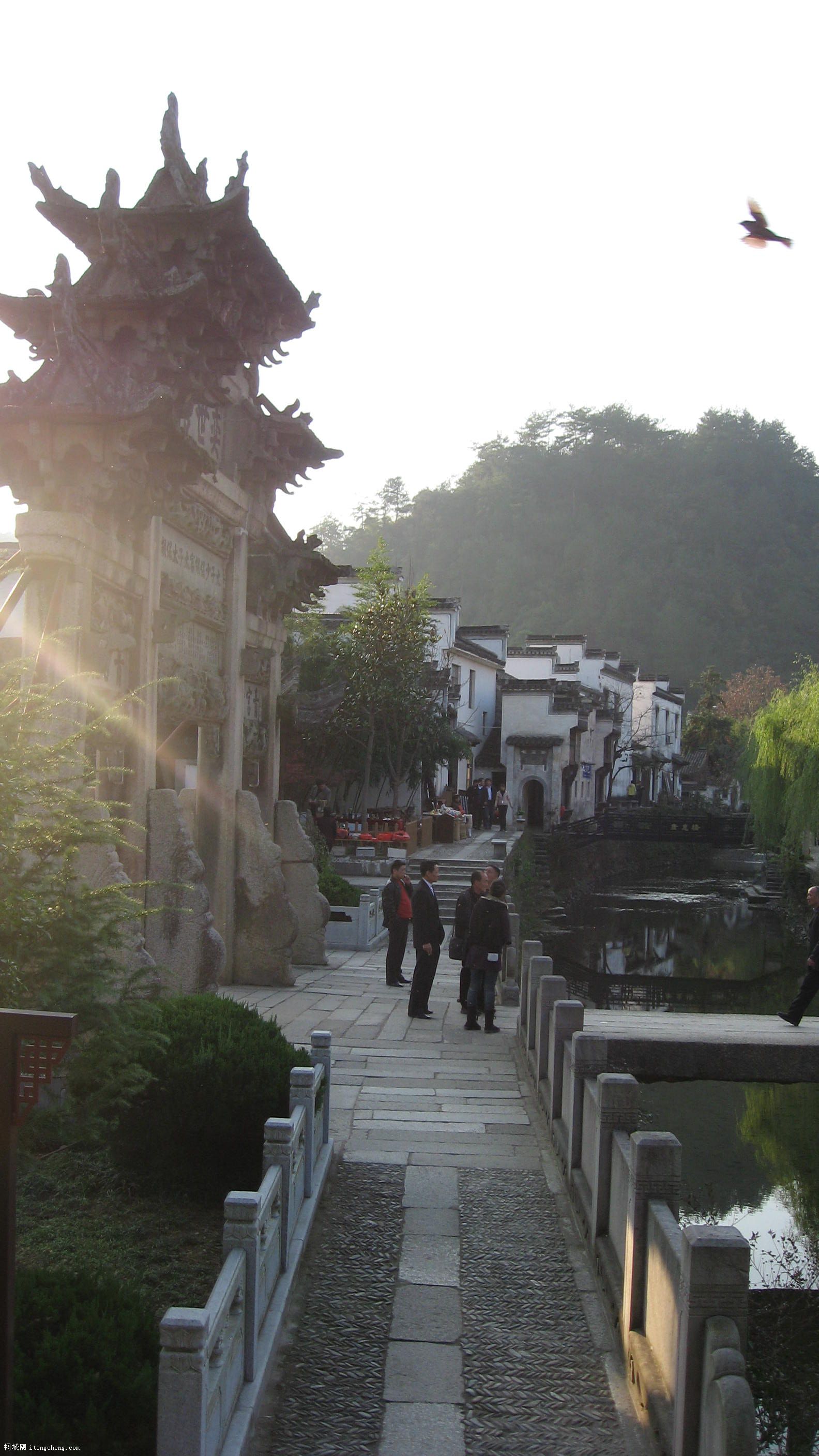 �����Ͻǣ��Ҿ�Ȼ�ĵ���һֻ�������Ŷ��