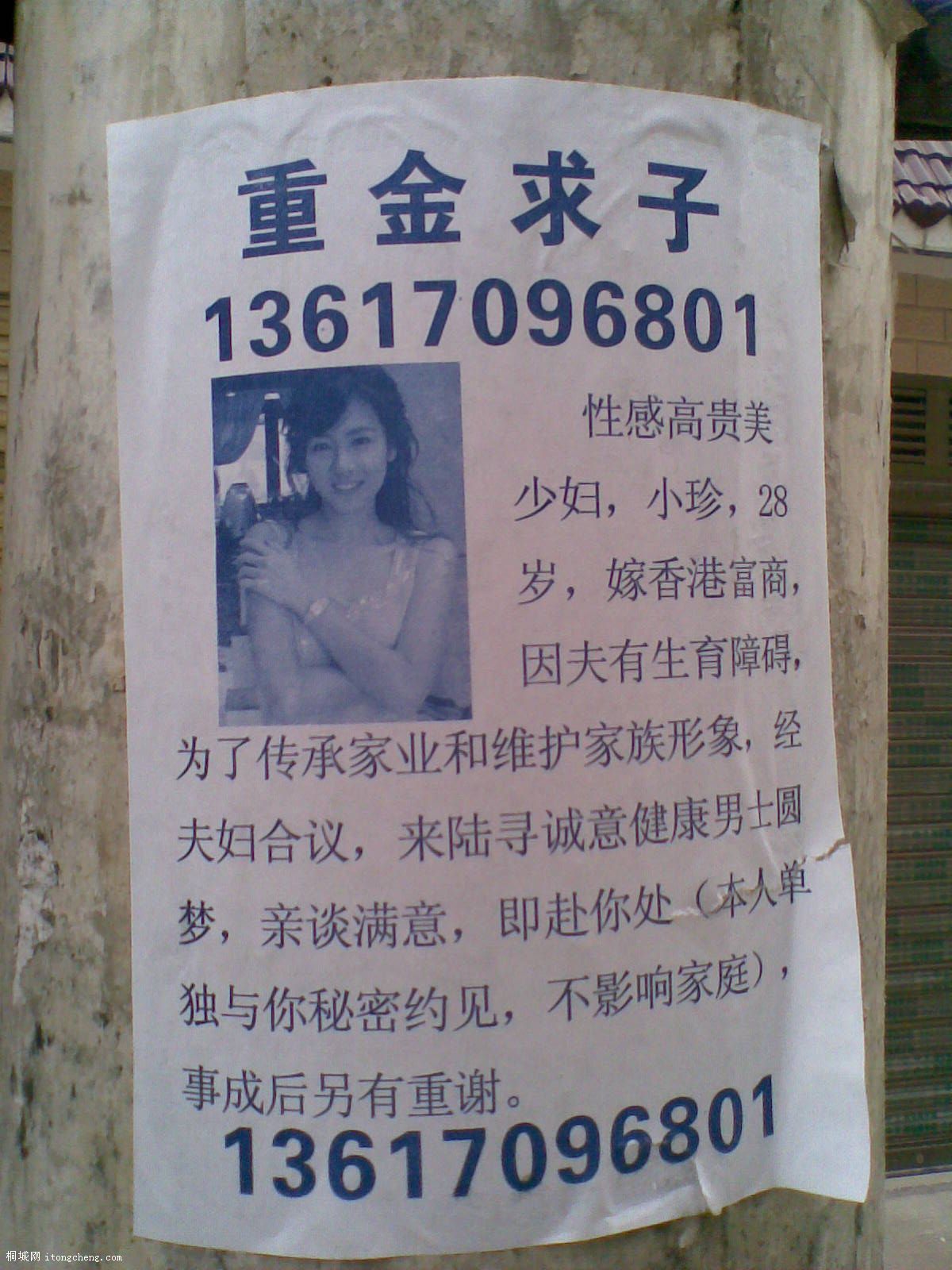 20100203.jpg