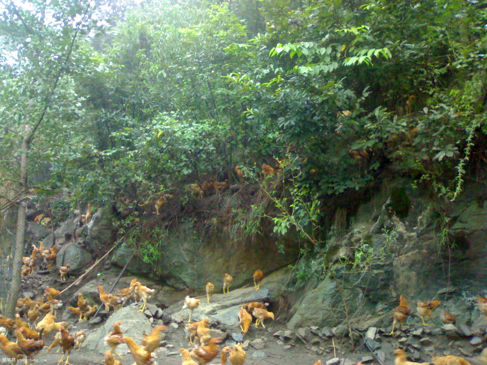 20090829164.jpg