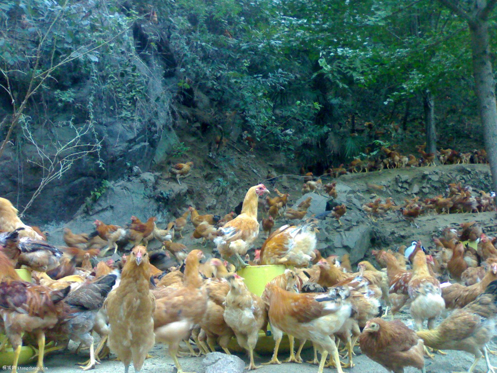 20090928229.jpg