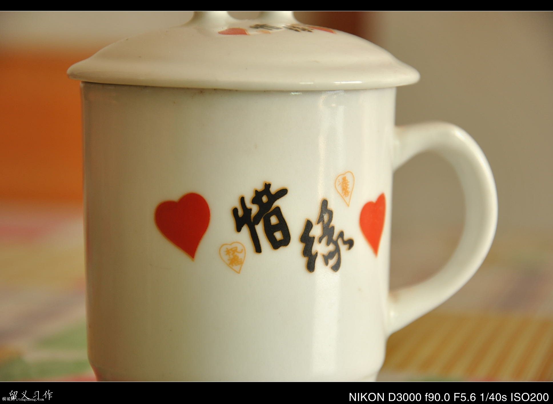 ���� 017_conew1.jpg