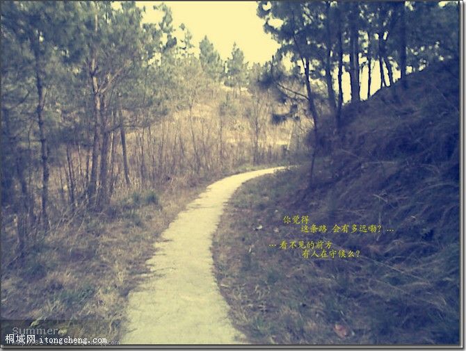 δ����·��ͨ������