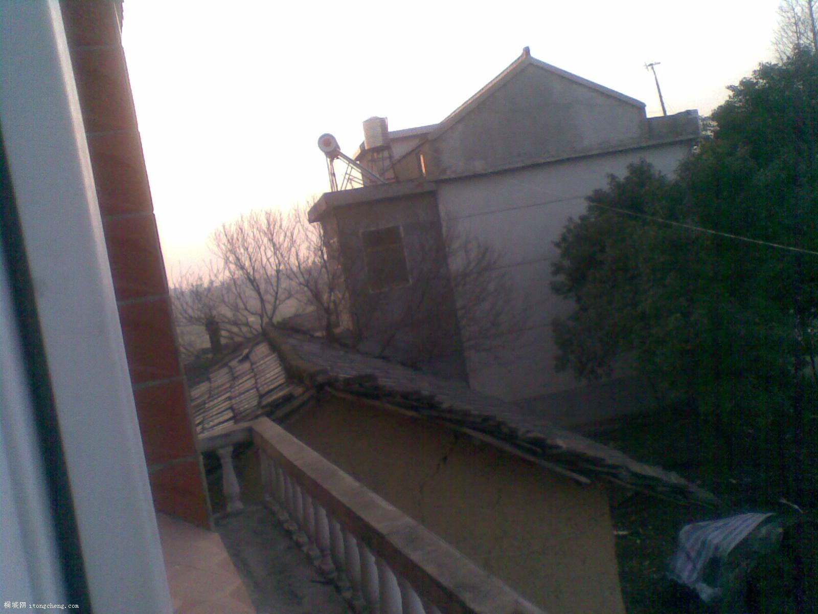 20100319(001).jpg