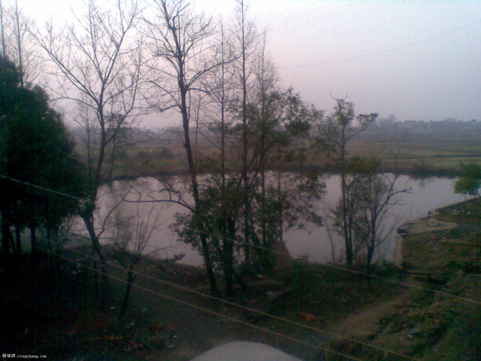 20100319.jpg