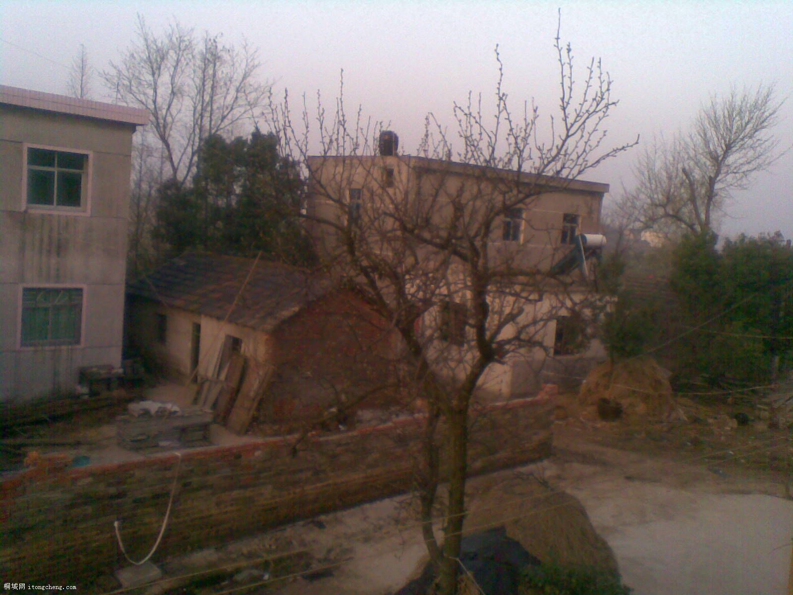 20100319(003).jpg