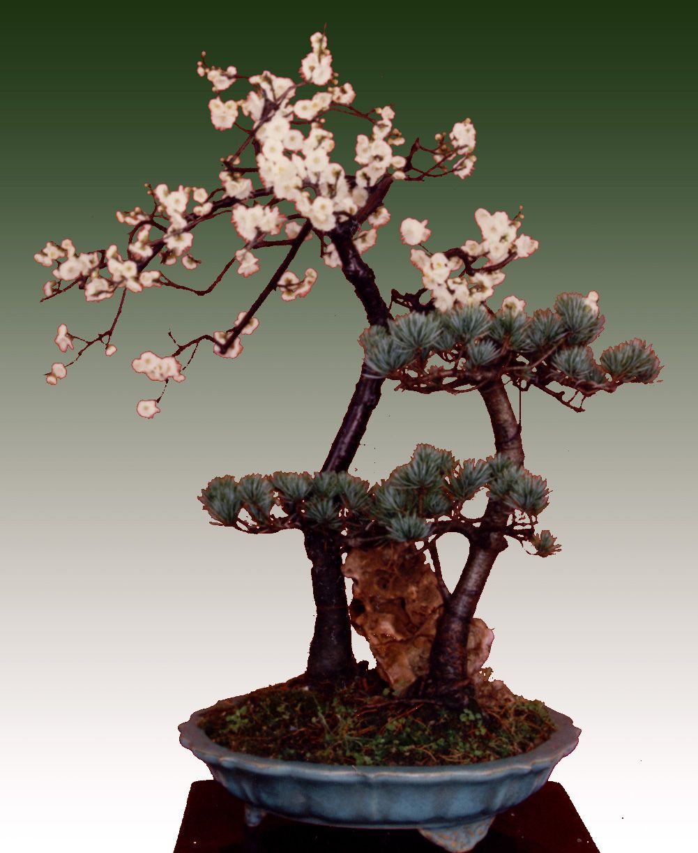 ����-71 ����.jpg