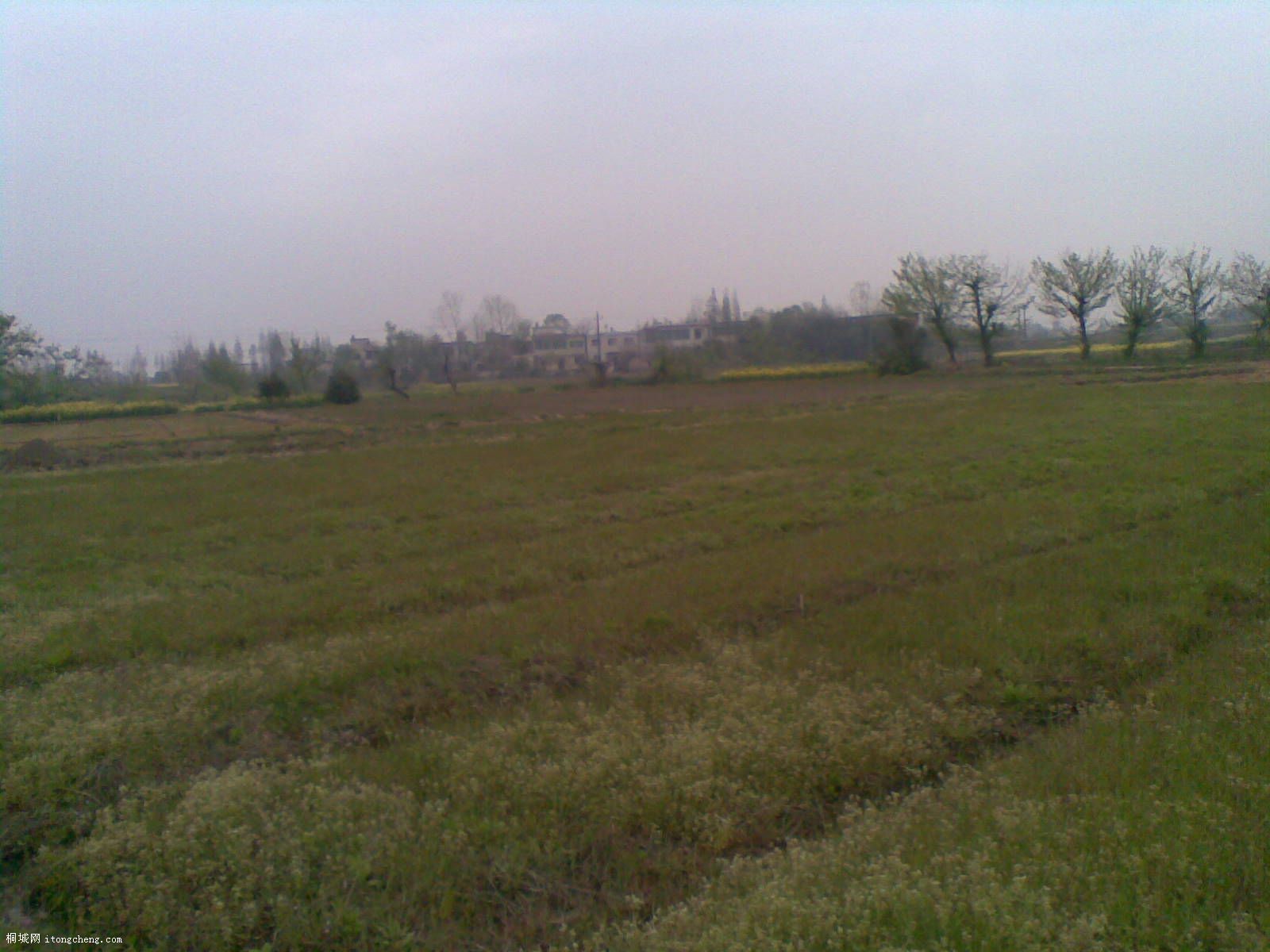 20100410(003).jpg