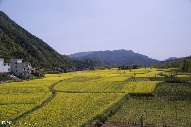 ������ (1008).JPG