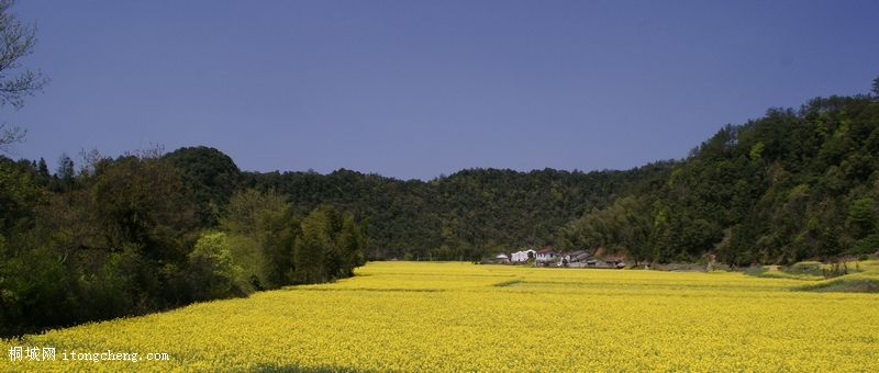 ������ (1028).JPG