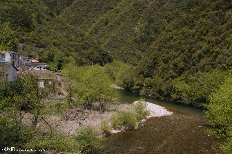 ������ (1020).JPG