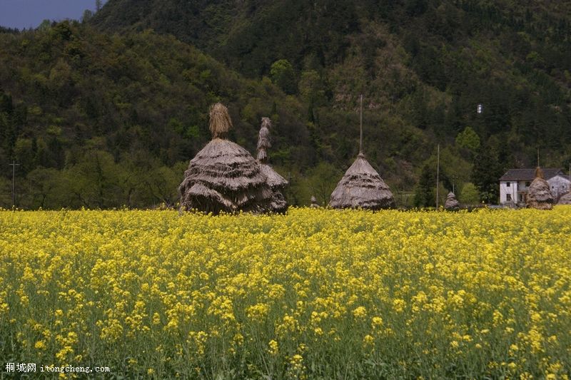 ������ (998).JPG