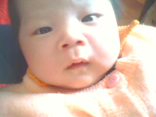 IMG0342A.jpg