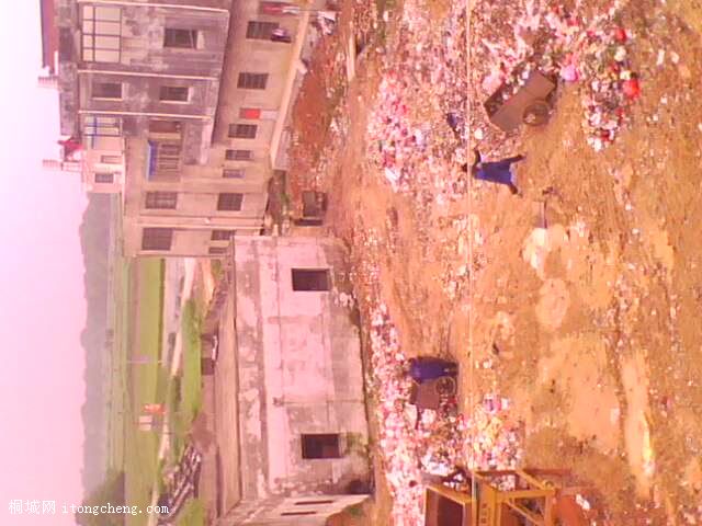 IMG0164A.jpg