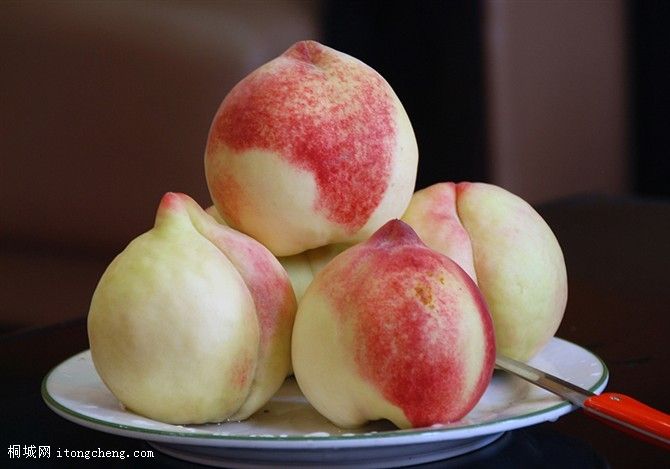 ���ӿ��Գ���